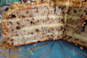Desert tort musuroi cu krant