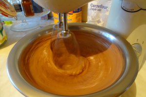 Desert paleuri