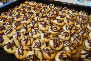 Desert paleuri