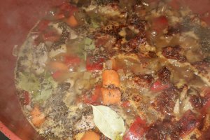 Gulas unguresc