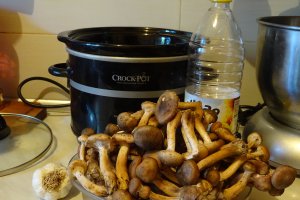Ghebe la slow cooker Crock-Pot