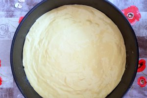 Desert prajitura cu crema de vanilie si mere caramelizate