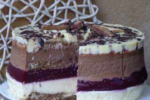Desert tort V.51