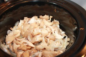 Ciuperci pleurotus la slow cooker Crock-Pot