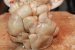 Ciuperci pleurotus la slow cooker Crock-Pot-3