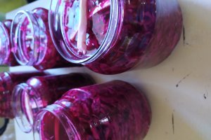 Salata mixta de toamna cu varza rosie, castraveti, gogonele si sfecla rosie