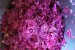 Salata mixta de toamna cu varza rosie, castraveti, gogonele si sfecla rosie-5