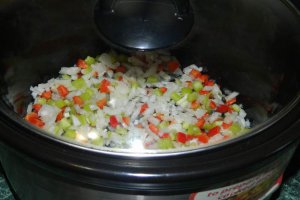 Ostropel de pui la slow cooker Crock-Pot