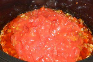 Ostropel de pui la slow cooker Crock-Pot