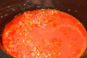 Ostropel de pui la slow cooker Crock-Pot