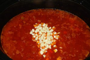 Ostropel de pui la slow cooker Crock-Pot