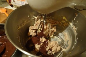 Desert Amandina by Gaby