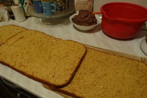 Desert Amandina by Gaby