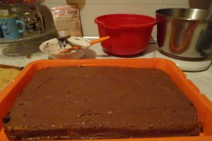 Desert Amandina by Gaby