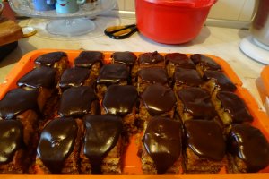 Desert Amandina by Gaby