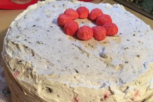 Desert tort cu biscuiti si agrise