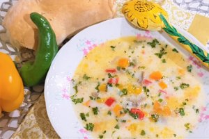 Ciorba de vacuta cu gulioare si iaurt