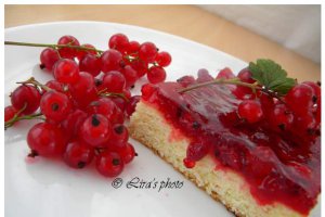 Tarta cu coacaze rosii
