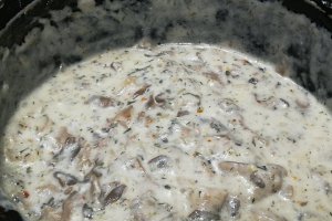Ciulama de ciuperci pleurotus