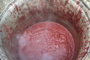 Marmelada din fructe