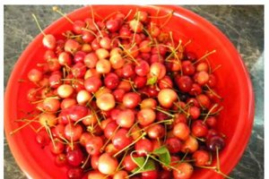 Dulceata de cirese
