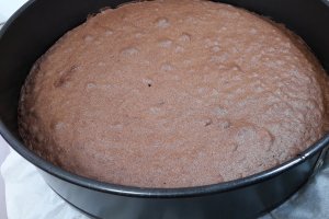 Desert tort cu ciocolata, zmeura si jeleu de piersici (Elsa si Ana)