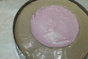 Desert tort cu ciocolata, zmeura si jeleu de piersici (Elsa si Ana)