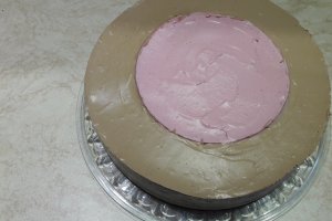 Desert tort cu ciocolata, zmeura si jeleu de piersici (Elsa si Ana)