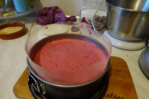 Desert tort entremet cu lamaie si mure