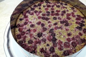 Desert tort cu mure, nuci si crema de ciocolata