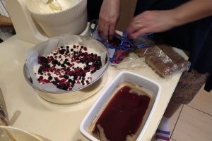 Desert Tiramisu cu fructe de padure