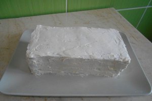 Aperitiv tort Mozzarella