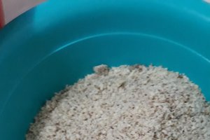 Desert prajitura cu crema fina de nuca