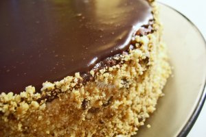 Tort Duet
