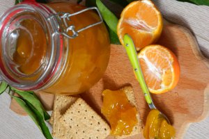 Dulceata de portocale si mango