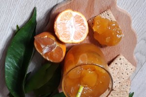 Dulceata de portocale si mango