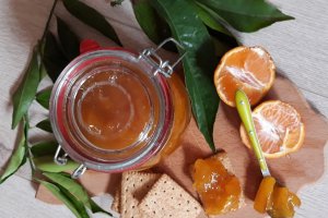 Dulceata de portocale si mango