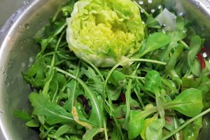 Salata cu oua, cascaval si frunze verzi