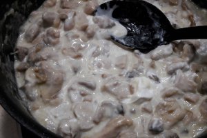 Ciulama de pui cu ciuperci si mamaliga