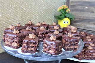 Desert miniamandine