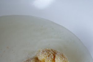 Conopida pane