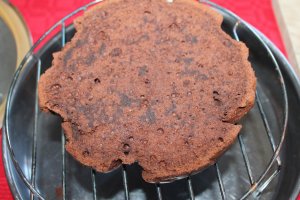 Desert tort Sacher