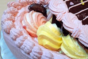 Desert tort cutie cadou