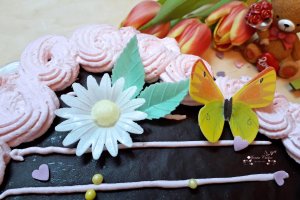 Desert tort cutie cadou