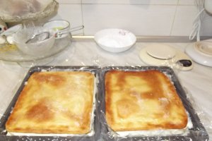 Desert Millefeuille