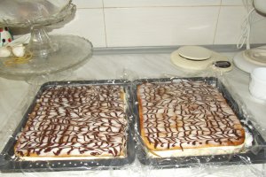 Desert Millefeuille