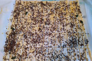 Aperitiv fursecuri cu parmezan si mix de seminte
