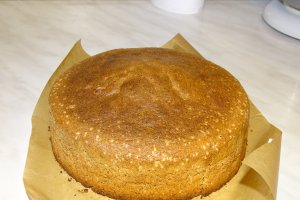 Desert tort Toni