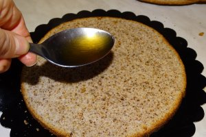 Desert tort Toni