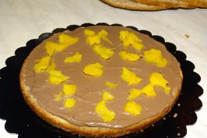 Desert tort Toni